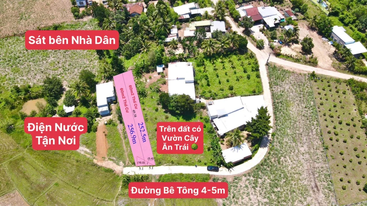 Bán đất vườn 509m2 Diên Khánh, Khánh Hòa 699 triệu - Ảnh thu nhỏ 5