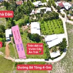 Bán đất vườn 509m2 Diên Khánh, Khánh Hòa 699 triệu - Ảnh thu nhỏ 5