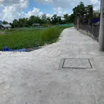 Bán nhà sân vườn 400m² 3 phòng ngủ Cần Giuộc Long An 3 tỷ 7 - Ảnh thu nhỏ 2