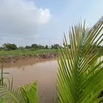 Bán đất Tân Phú Đông Tiền Giang 120m2 250 triệu - Ảnh thu nhỏ 4