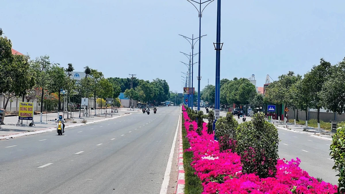 Bán đất mặt tiền Võ Thị Sáu 667m2 Phước Hải, BRVT - Ảnh thu nhỏ 2