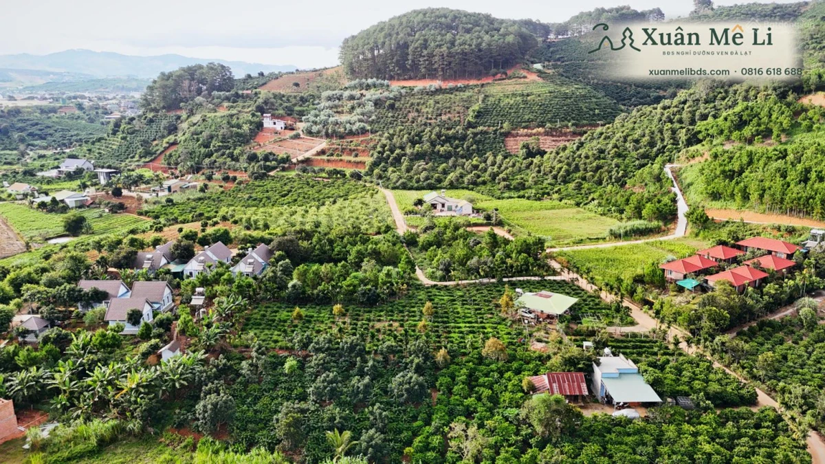 Bán 2 lô đất liền kề ven Đà Lạt, đường ô tô, Diện tích 368371m², sổ hồng riêng - Ảnh thu nhỏ 4