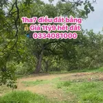 Bán 1ha7 đất nền mặt tiền 90m Phú Trung, Bình Phước - Ảnh thu nhỏ 1