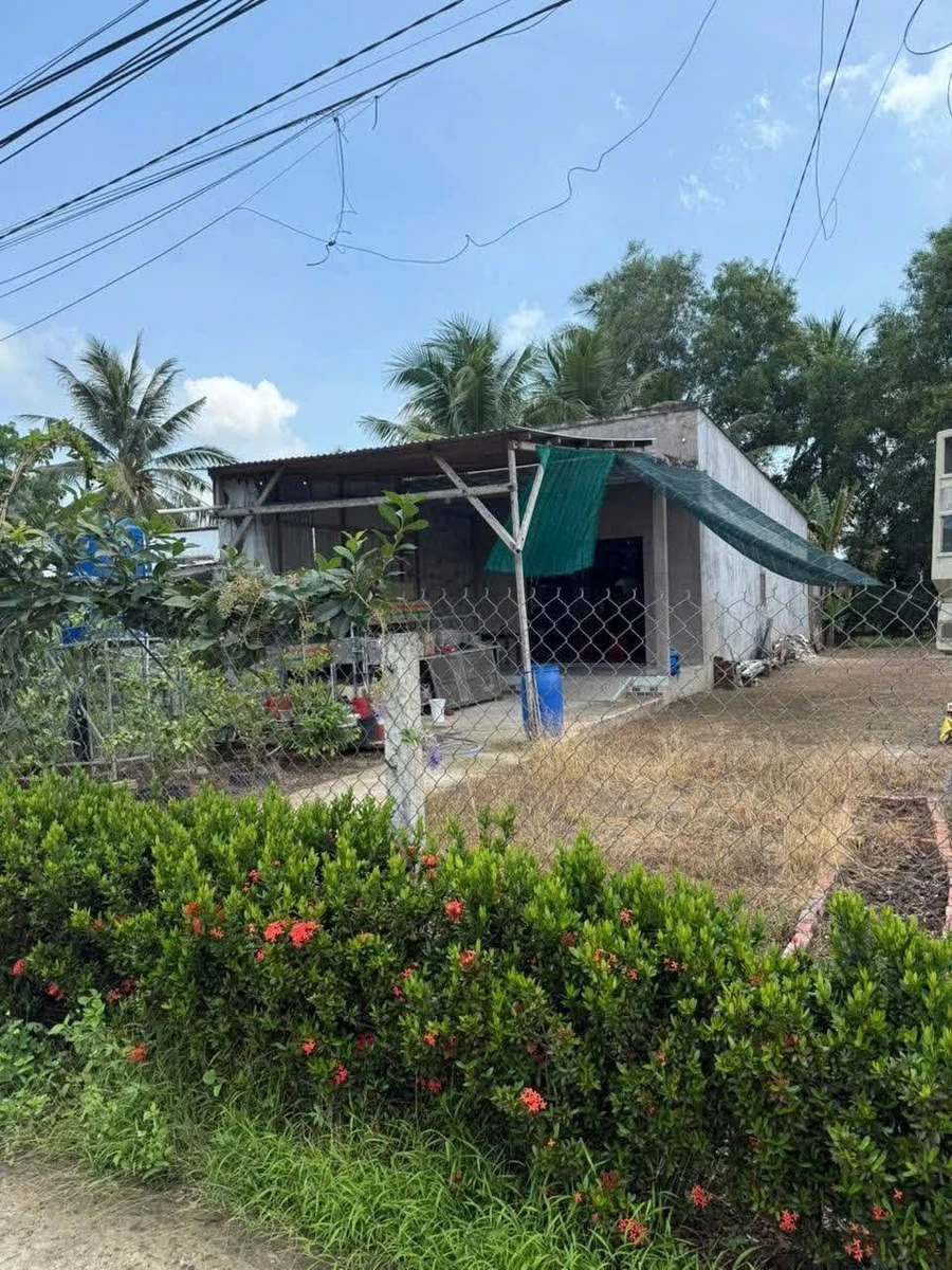 Bán nhà đất cấp 4 mới 500m² Nhà Bè - Ảnh thu nhỏ 2