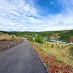 Bán đất 1,2 hecta Bảo Lộc view hồ 16,6 tỷ - Ảnh thu nhỏ 4