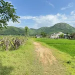 Bán nhà yến và nhà cấp 4 tại Phan Thiết, 2.128m², 1 tỷ - Ảnh thu nhỏ 1
