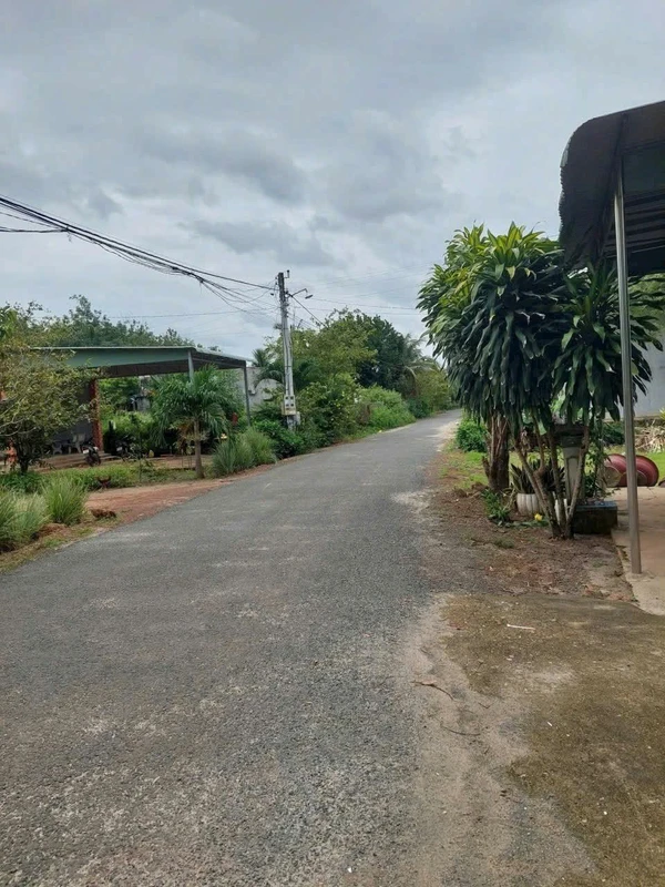 Bán đất Tân Hội Tây Ninh 7857,5m² giá 90tr/m²