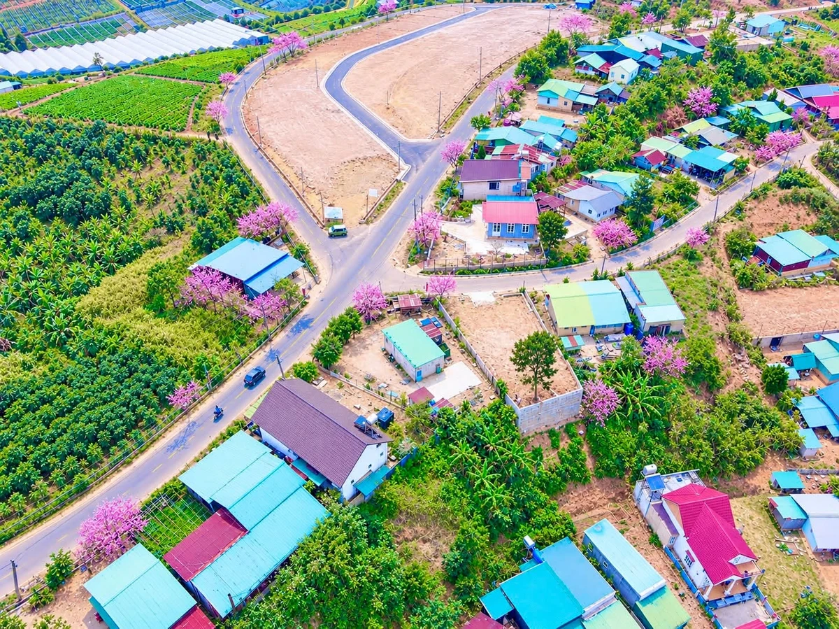 Bán biệt thự gốc 400m2 toàn thổ cư Lạc Dương, Khánh Hòa - Ảnh 1