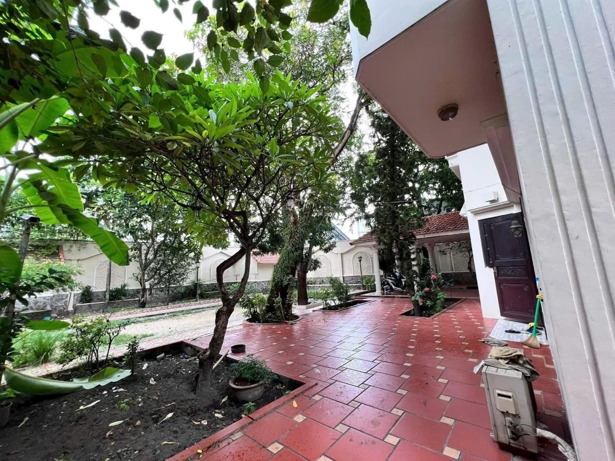 Bán biệt thự Lê Quý Đôn Bình Thọ Thủ Đức 715m2 - Ảnh thu nhỏ 3