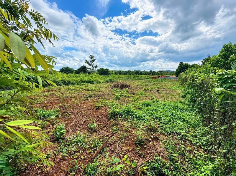 Bán đất nông nghiệp gần 700m2 cạnh hồ Buôn Bông, Phường Ea Kao, giá 599 triệu