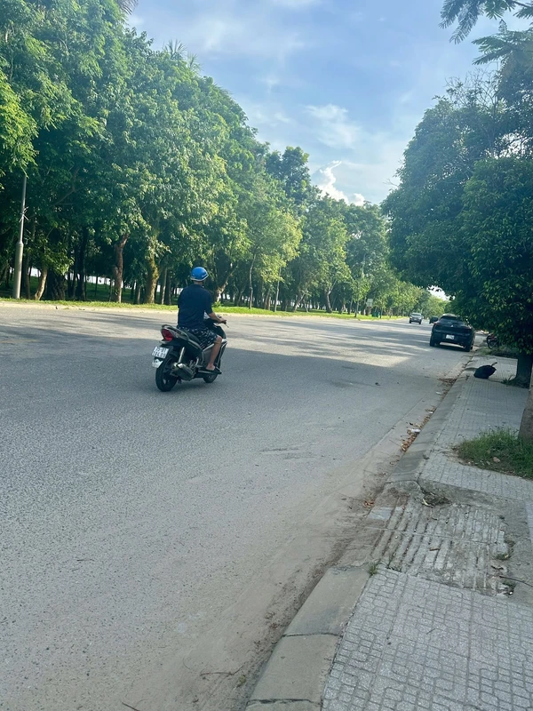 Bán đất tặng nhà C4 170,5m2 gần mặt tiền Nguyễn Phúc Nguyên, Kim Long, Huế