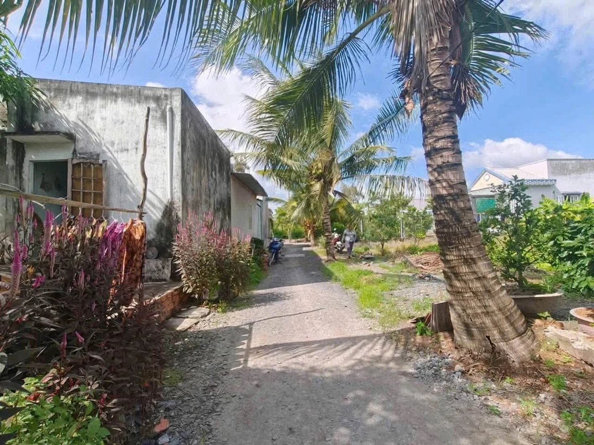 Bán 500m2 đất thổ cư cách ĐT816 100m, xã Bình Đức, Bến Lức, Long An - Ảnh thu nhỏ 2