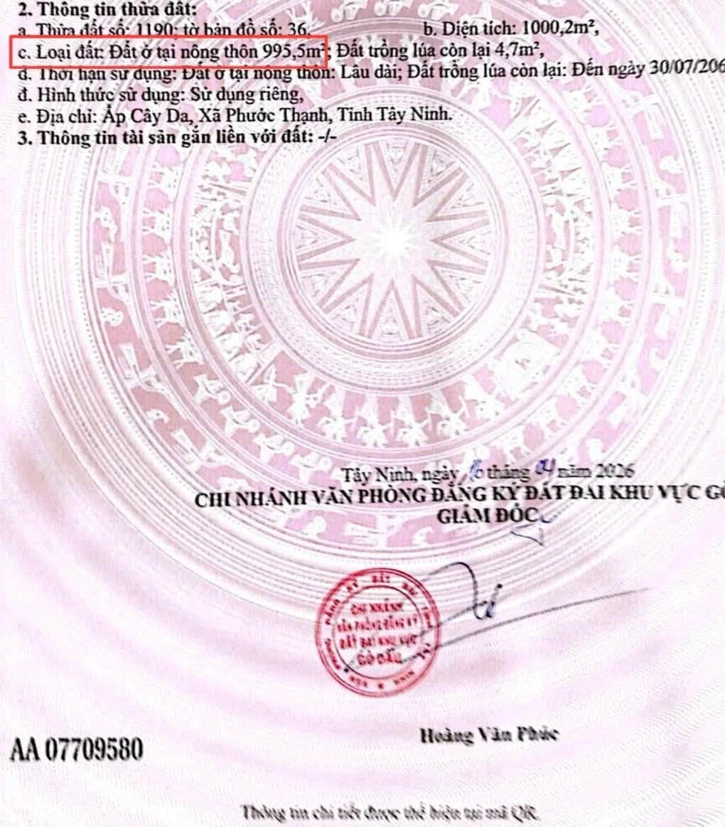 Bán đất 1000m2 mặt tiền Tây Ninh giá 980 triệu - Ảnh 1