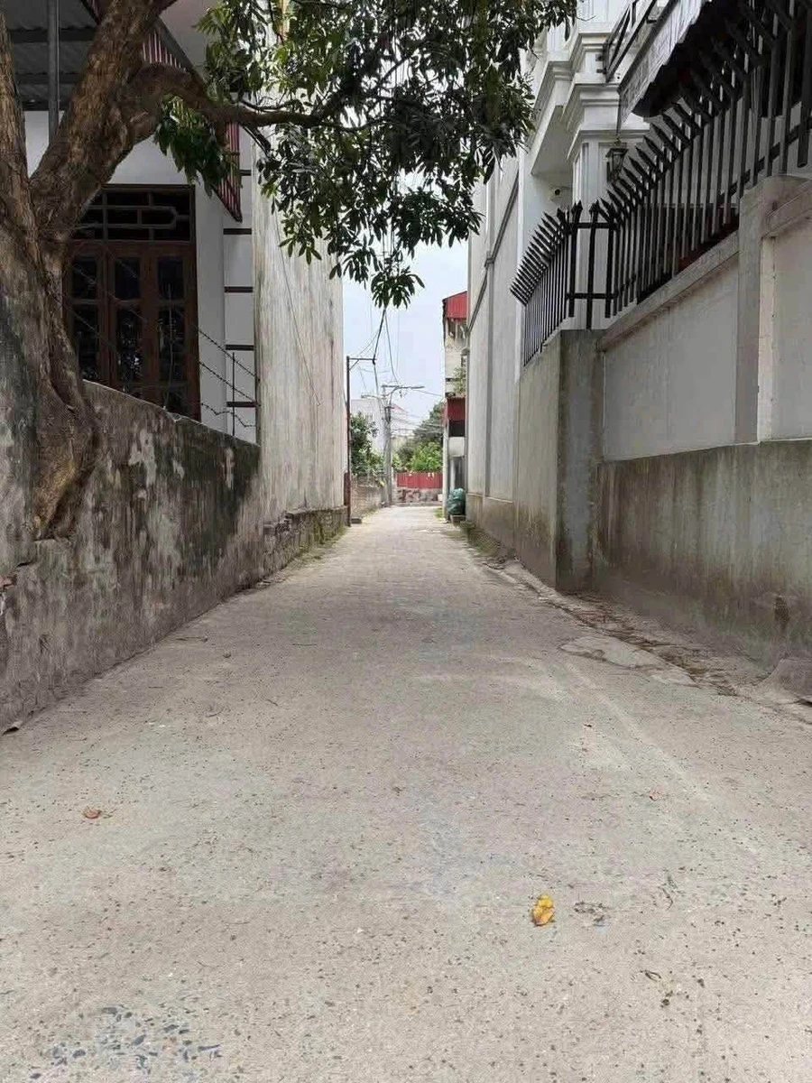 Bán đất ngõ 45m² mặt 4m Hải Tân 1,3 tỷ - Ảnh thu nhỏ 2