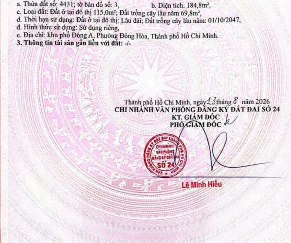 Bán đất mặt tiền Nguyễn Công Trứ 185m² Đông Hòa - Ảnh thu nhỏ 4