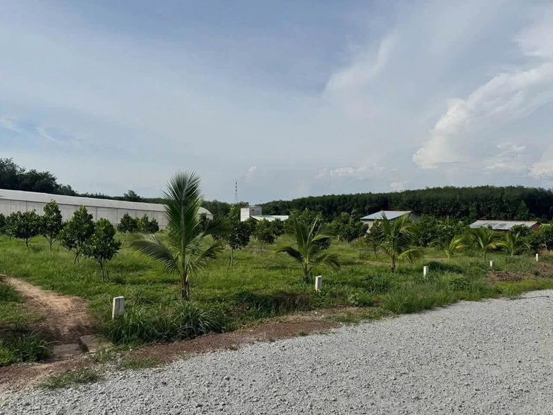 Bán đất Phú Giáo, Bình Dương 200-250m2, giá từ 390-590 triệu