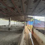 Bán nhà vườn 8061 m² Hưng Lộc Thống Nhất 4 tỷ 4 - Ảnh thu nhỏ 5