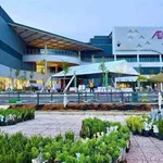 Bán đất thổ cư 5x20m, 23.2m² mặt tiền Phạm Văn Điền, Long An - Ảnh thu nhỏ 5