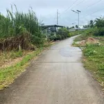 Bán nền đất Cái Dầy 100,5m² - 300 triệu - Ảnh thu nhỏ 2