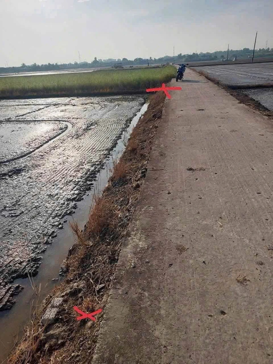 Bán đất lúa 1.992m² Lạc Tấn, Tân Trụ, Long An - Ảnh thu nhỏ 3