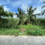 Bán 4 nền đất liền kề 553m² An Giang, giá 2 tỷ/nền - Ảnh thu nhỏ 4
