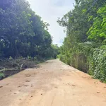 Bán đất vườn cây 500m² 2 mặt tiền Bình Lộc 890 triệu - Ảnh thu nhỏ 2