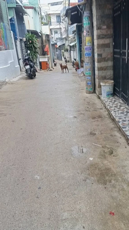 Bán nhà mới xây trung tâm Quy Nhơn, trệt 40m2 gác 40m2, 2 phòng ngủ, giá hơn 1 tỷ