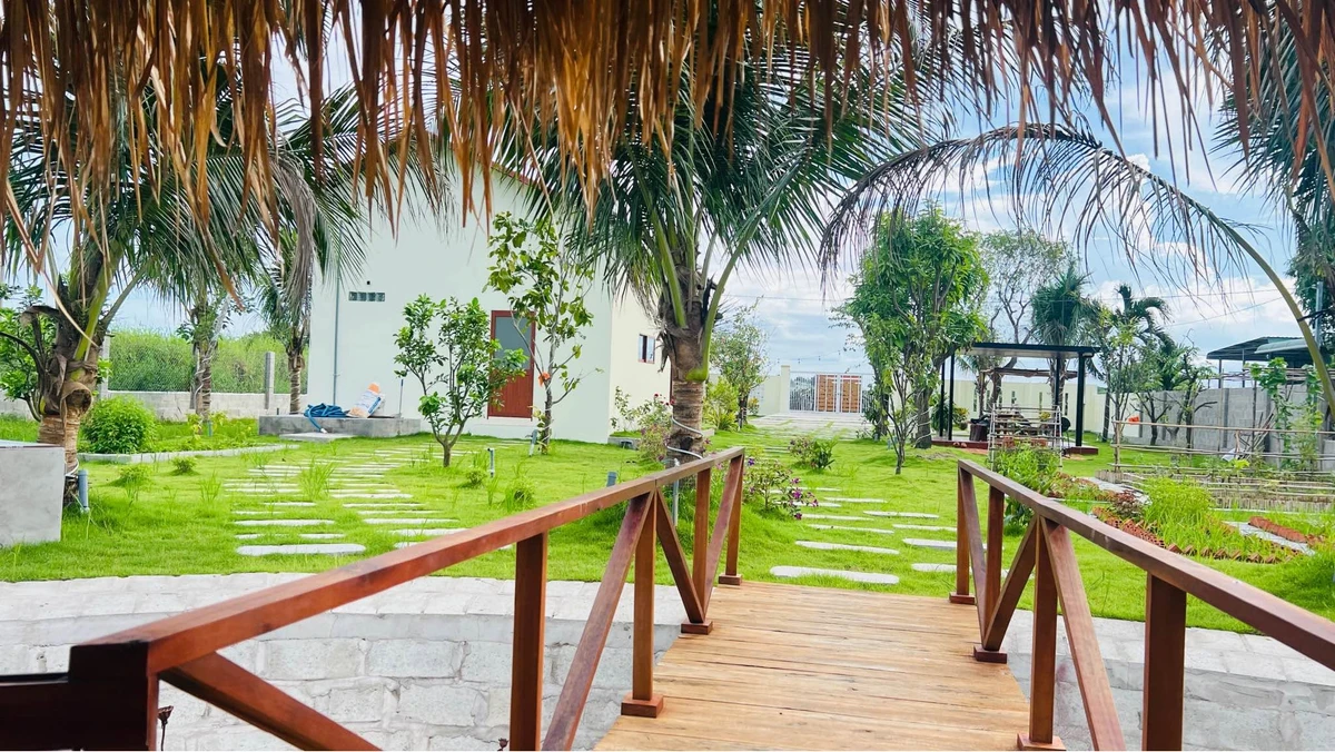 Bán vườn 1.600m² Hàm Chính Bình Thuận 1 tỷ 790 - Ảnh thu nhỏ 3