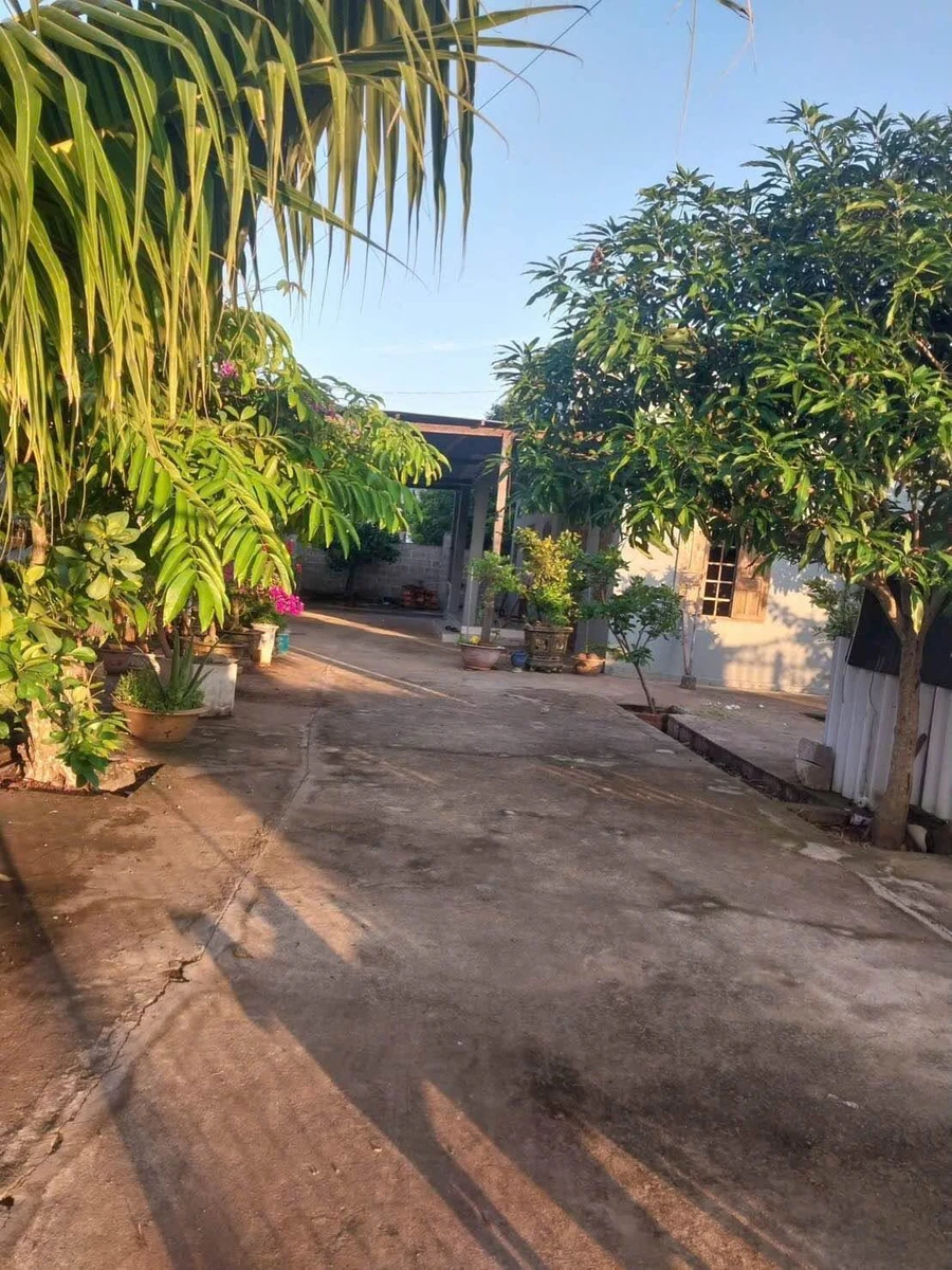 Bán nhà vườn 320m² Phú Mỹ Phan Thiết 950 triệu - Ảnh 1