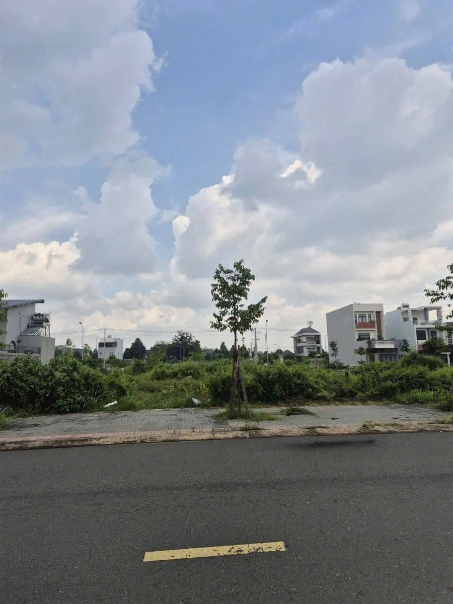 Bán đất mặt tiền đường D1 Hồ Tùng Mậu, 100m2, khu Hưng Việt, Long Tâm, Bà Rịa - Ảnh thu nhỏ 4