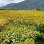 Bán đất 1188m2 view đồng lúa giá 99 triệu tại Phan Thiết - Ảnh thu nhỏ 1