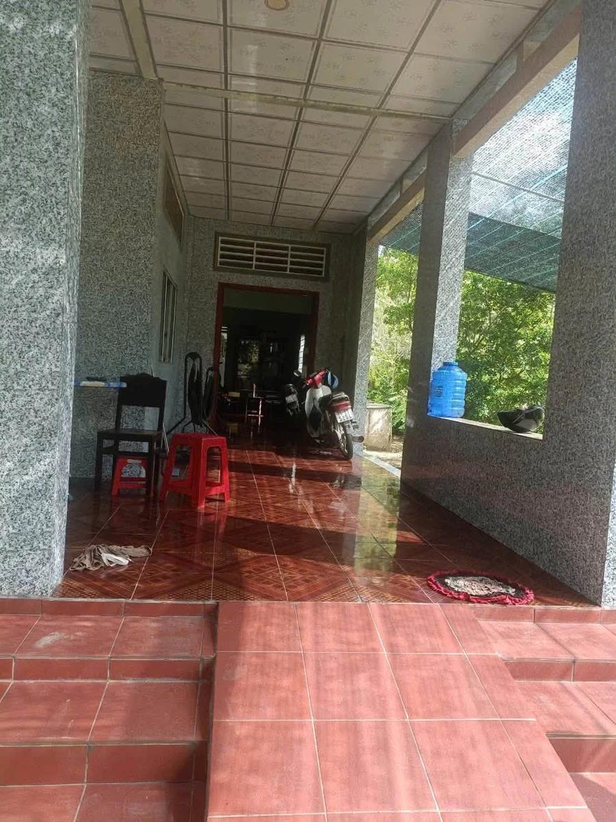 Bán 12 công đất dừa mặt tiền Đan Ngang, Nhà Bè - Ảnh thu nhỏ 2