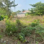 Bán đất Ngã Bảy Hậu Giang giá tốt - Ảnh thu nhỏ 20