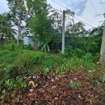 Bán đất giá rẻ Thị Trấn 1 Ngàn - Ảnh thu nhỏ 1