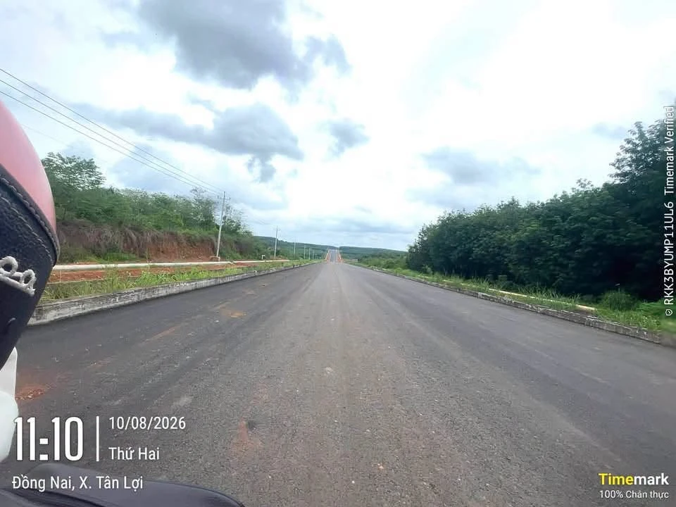 Bán đất nền 100m² Tân Hoà, Đồng Phú, giá 550 triệu - Ảnh thu nhỏ 3