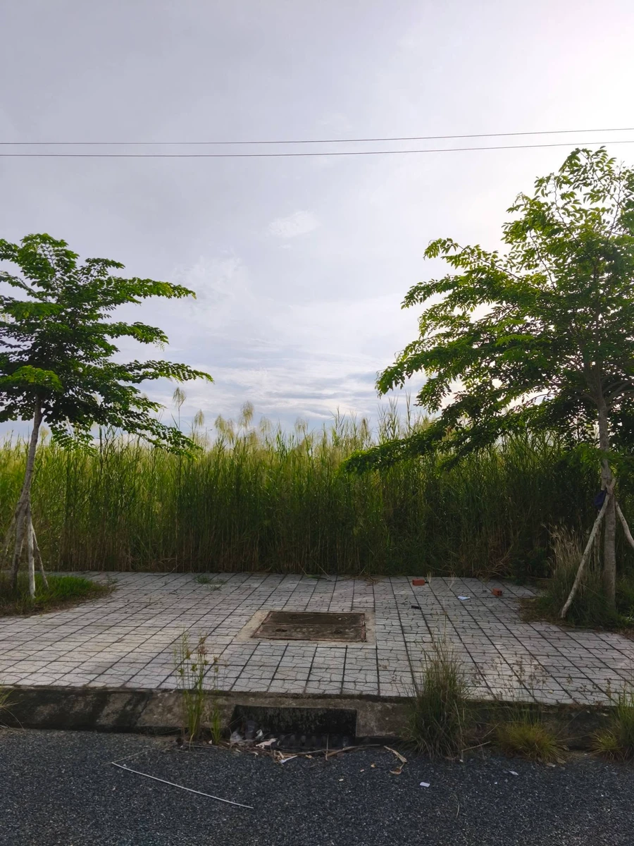 Bán nền đất 135m² gần trường Tiểu học Văn Lang, Cà Mau - Ảnh thu nhỏ 3