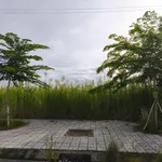 Bán nền đất 135m² gần trường Tiểu học Văn Lang, Cà Mau - Ảnh thu nhỏ 3