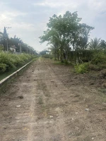 Bán đất tại Giồng Lớn, 7,5 triệu / m2, thổ cư 100%, view đẹp. - Ảnh thu nhỏ 5
