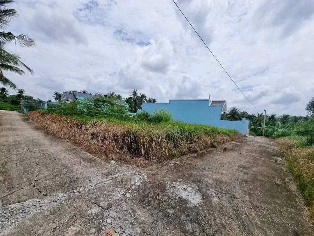 Bán đất thổ cư Bình Phú 160m² tại Bến Tre - Ảnh thu nhỏ 5