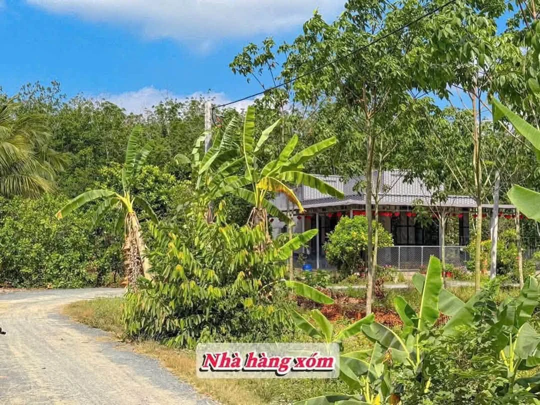 Bán đất 155m² Trương Mít Tây Ninh 209 triệu - Ảnh thu nhỏ 4