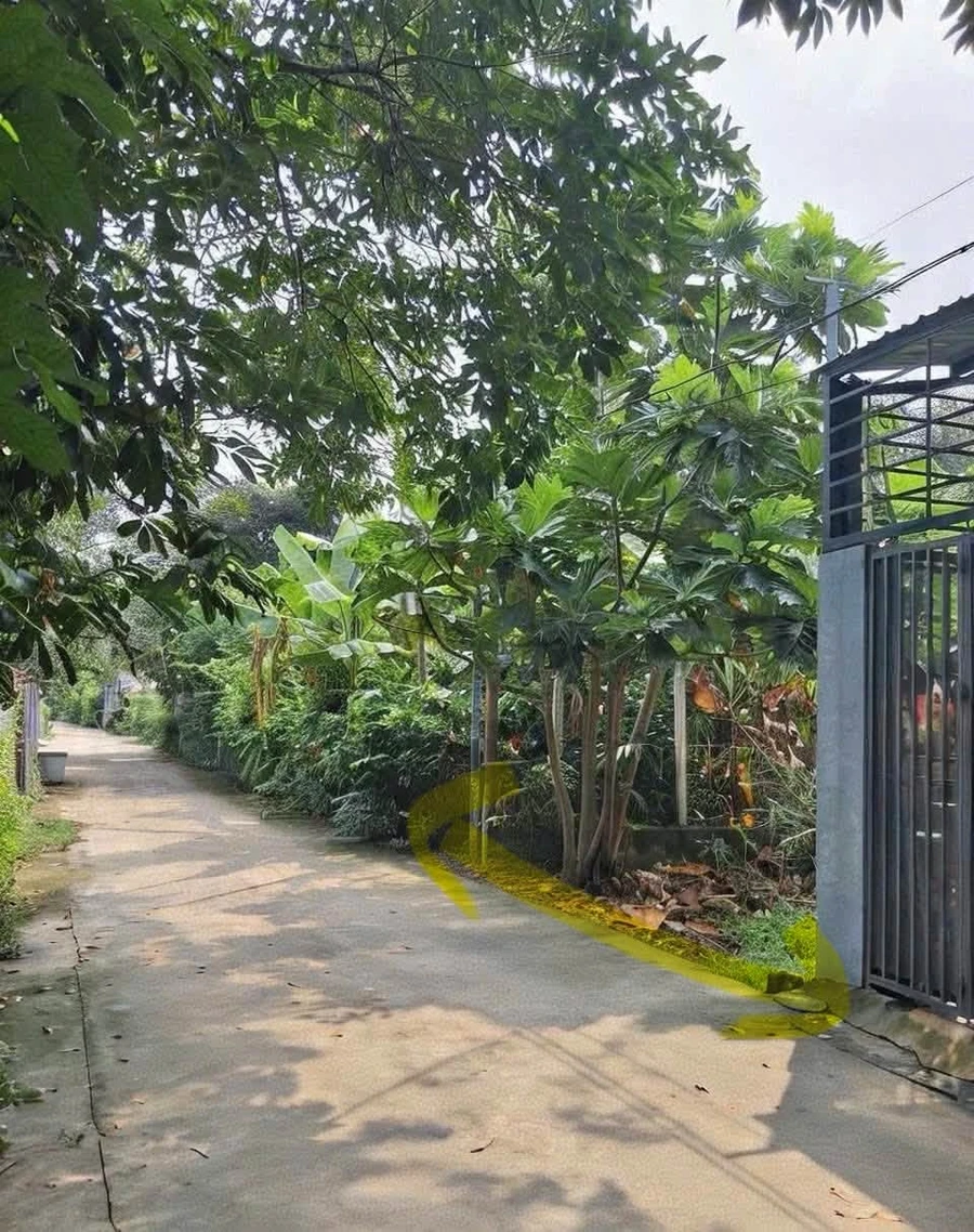 Bán đất 68m² đường Bình Nhâm 34, Thuận An, Bình Dương, giá khoảng 1,9 tỷ - Ảnh 1