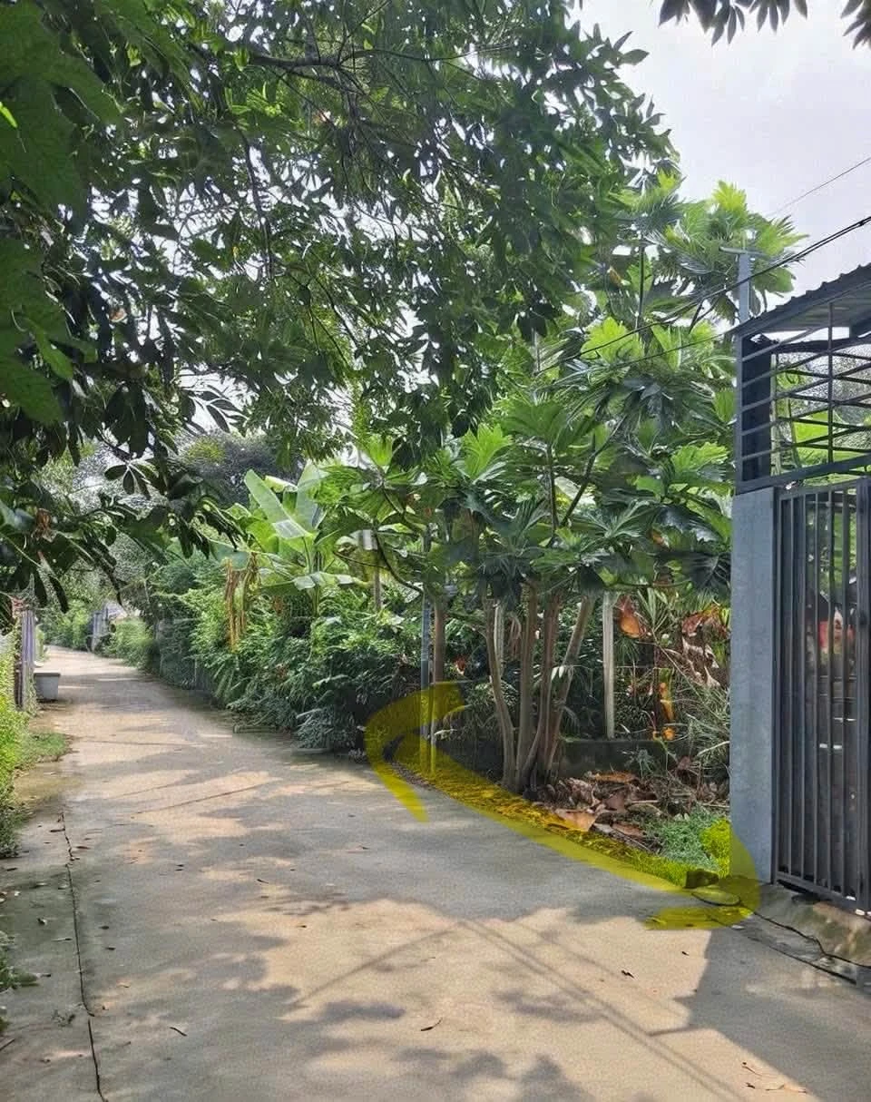 Bán đất 68m² đường Bình Nhâm 34, Thuận An, Bình Dương, giá khoảng 1,9 tỷ - Ảnh 1