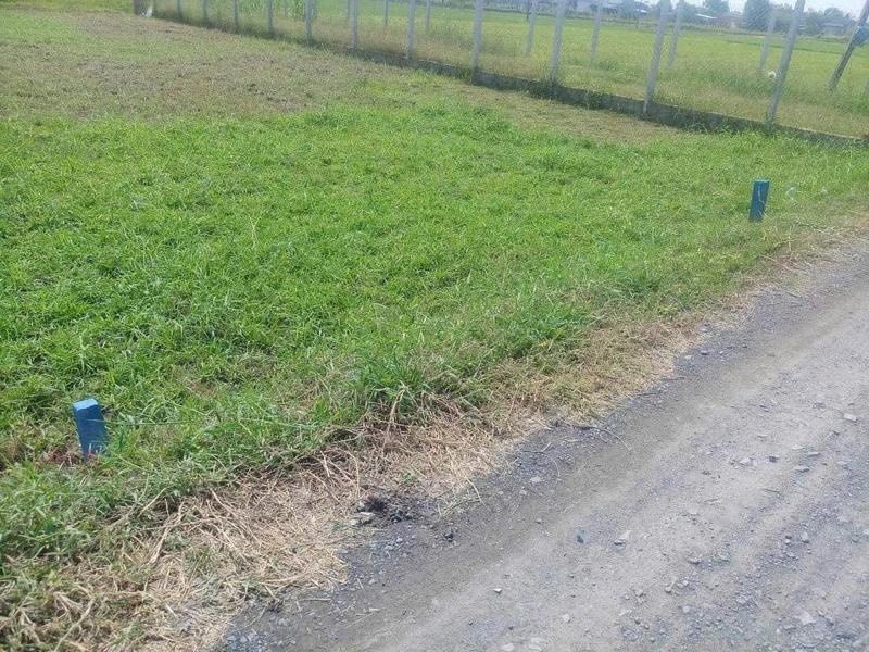 Bán đất 192m² Hòa Khánh Nam Đức Hòa Long An giá 890 triệu