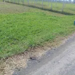 Bán đất 192m² Hòa Khánh Nam Đức Hòa Long An giá 890 triệu - Ảnh thu nhỏ 1