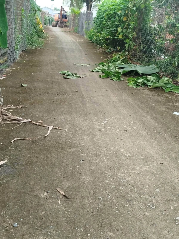 Bán đất thổ Phú Ngã Trị Châu Thành Long An 125m² 380 triệu