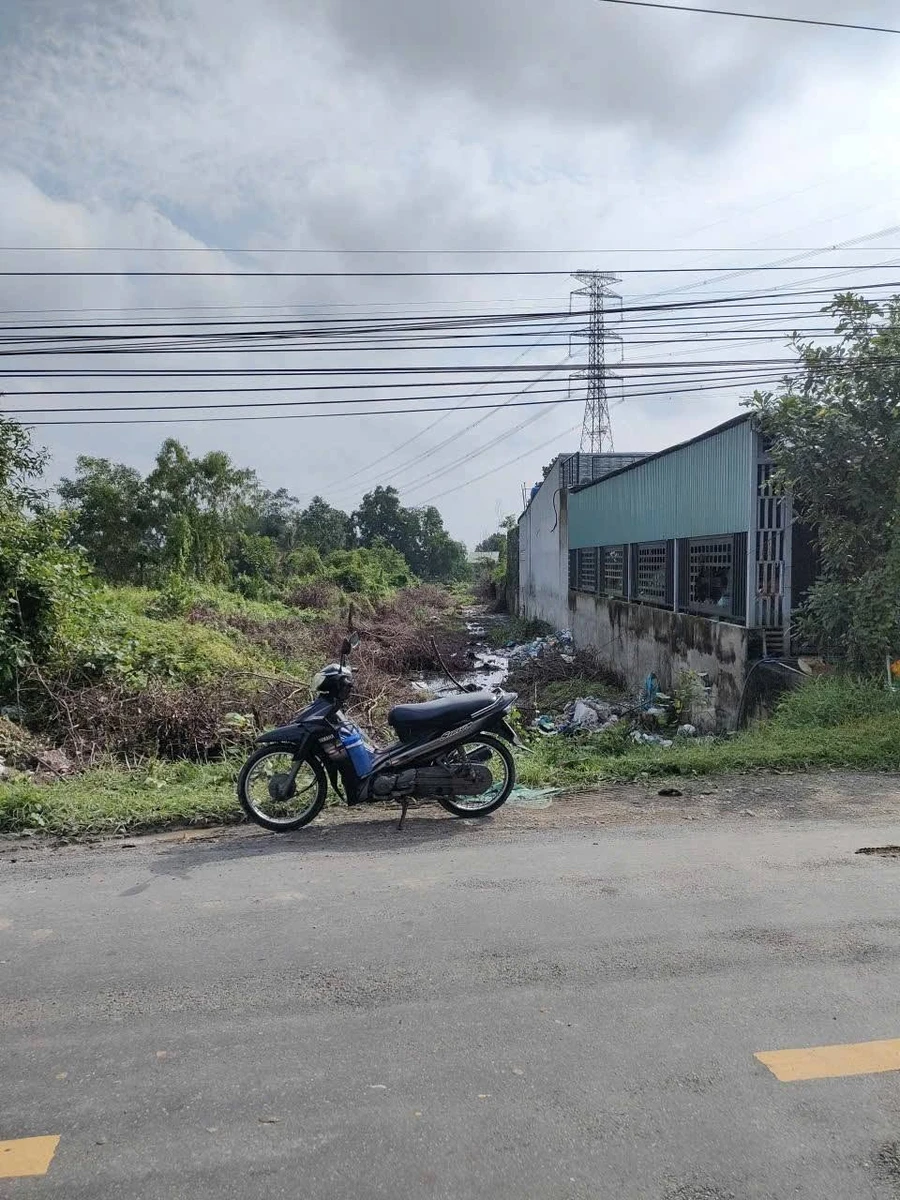 Bán nền đất thổ lúa 800m2 mặt tiền Tây Ninh - Ảnh thu nhỏ 3