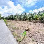 Bán đất mặt tiền Mỹ Thạnh 1.336m² tại Giồng Trôm, Bến Tre - Ảnh thu nhỏ 4