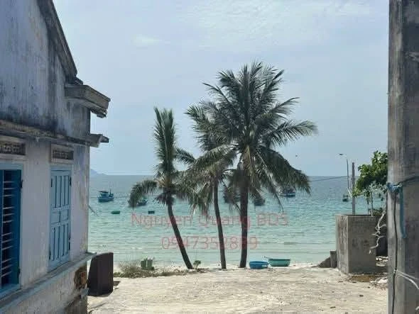 Bán nhà biển 195m2 toàn thổ cư, 35tr/m2 Nha Trang - Ảnh thu nhỏ 4