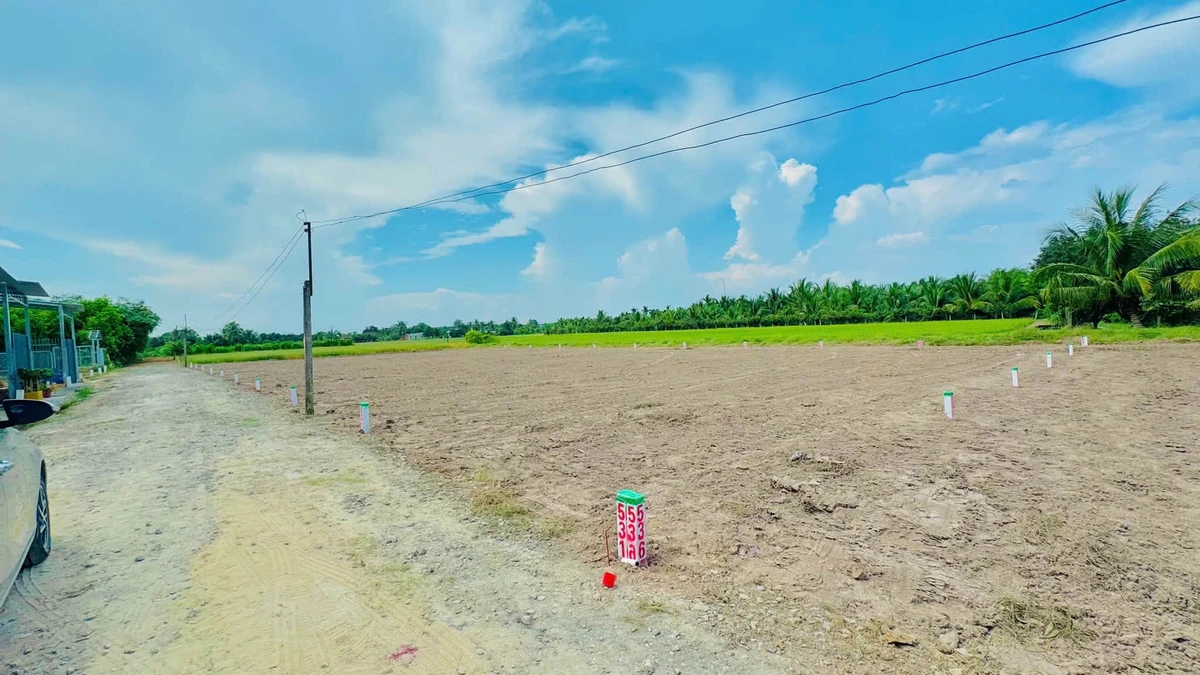 Bán đất nền Bình Lợi 125m² mặt tiền đường đá mi - Ảnh thu nhỏ 3