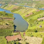 Bán đất 1,2 hecta Bảo Lộc view hồ 16,6 tỷ - Ảnh thu nhỏ 3